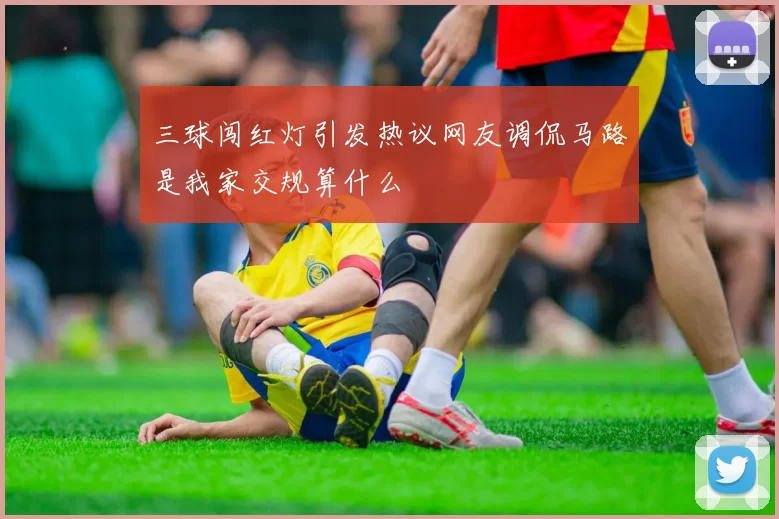 三球闯红灯引发热议网友调侃马路是我家交规算什么